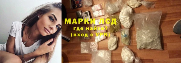 индика Осташков