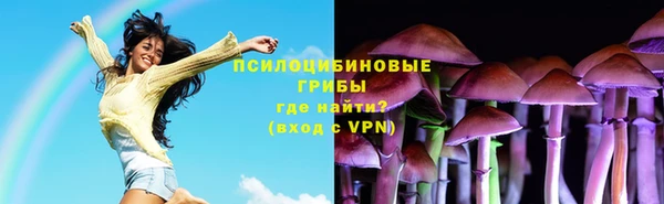 СК Горняк