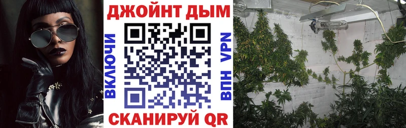 Канабис Ganja  где можно купить наркотик  Приволжск 
